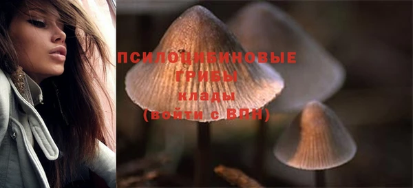 хмурый Абаза