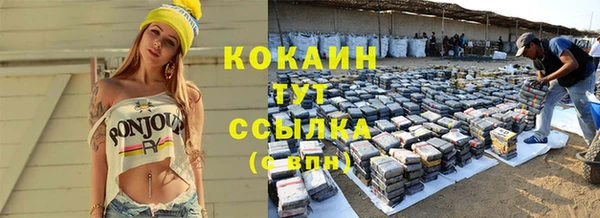 хмурый Абаза