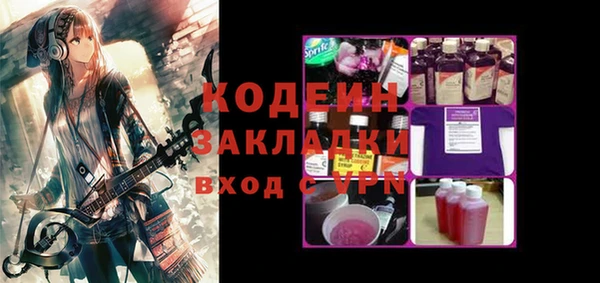 хмурый Абаза
