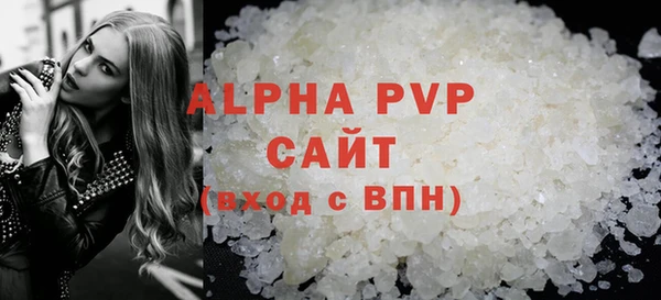 хмурый Абаза