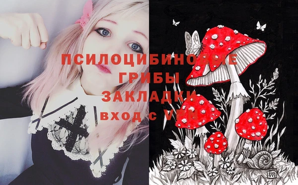 хмурый Абаза