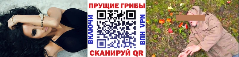 Галлюциногенные грибы GOLDEN TEACHER omg зеркало Инта