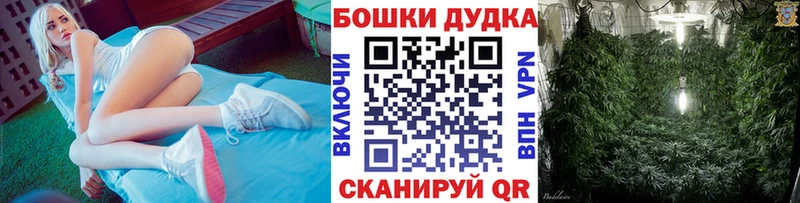 Шишки марихуана OG Kush  Инта 